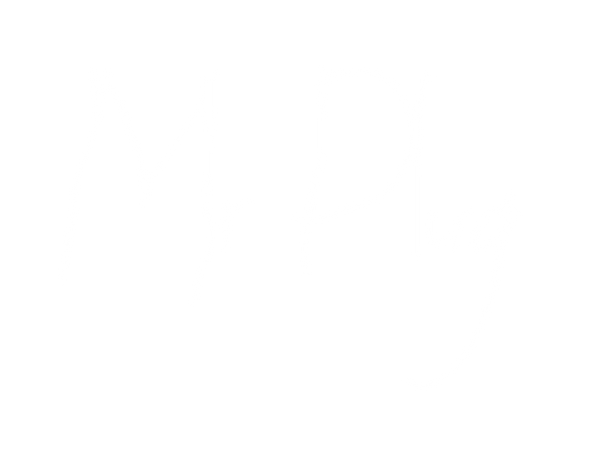 mr plug